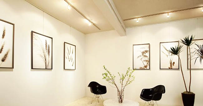 ピクチャーレール